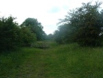 52. the trackbed on the embankment