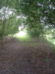 53. a short wooded part of the trackbed