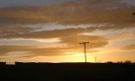 Telegraph Poles at sunset