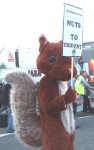 someone did suggest later that next time we should all come dressed as squirrels - what would the police do/look like arresting hundreds of red squirrels? an endangered species too - and think of the photo opportunities - this one did get arrested!