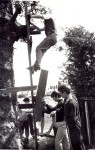 some was hauled up the trees